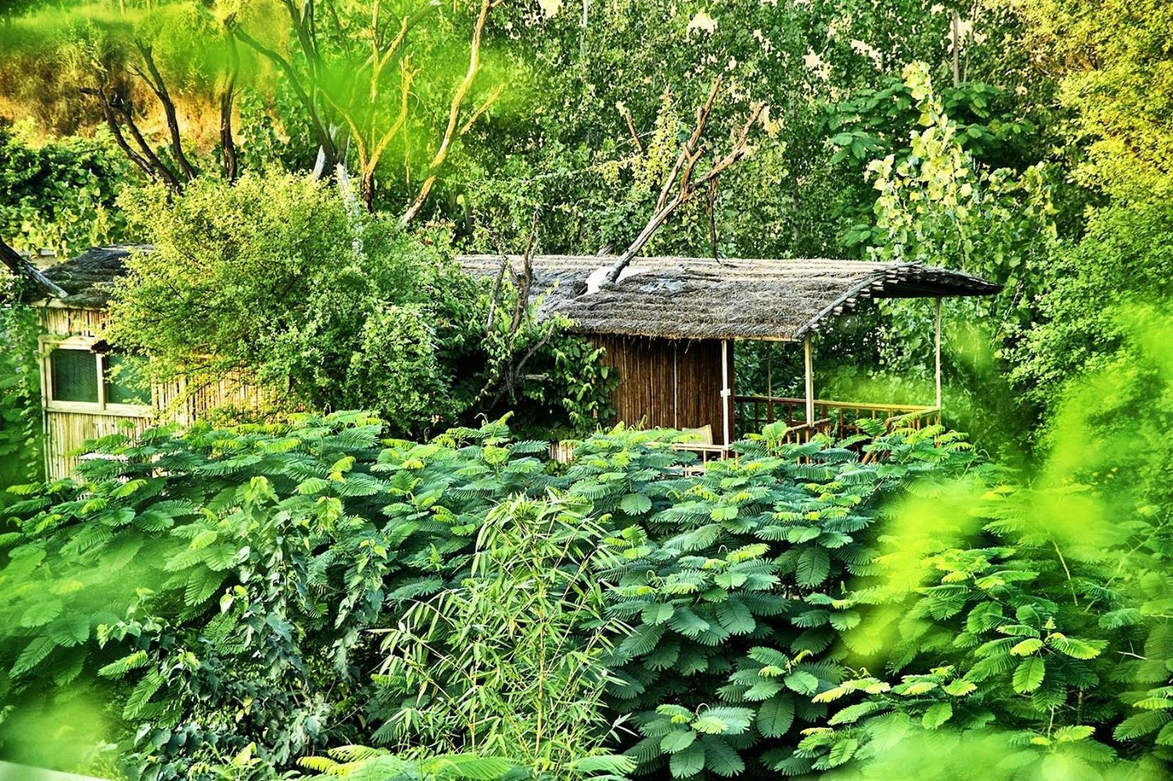 The Tree House Resort جايبور المظهر الخارجي الصورة